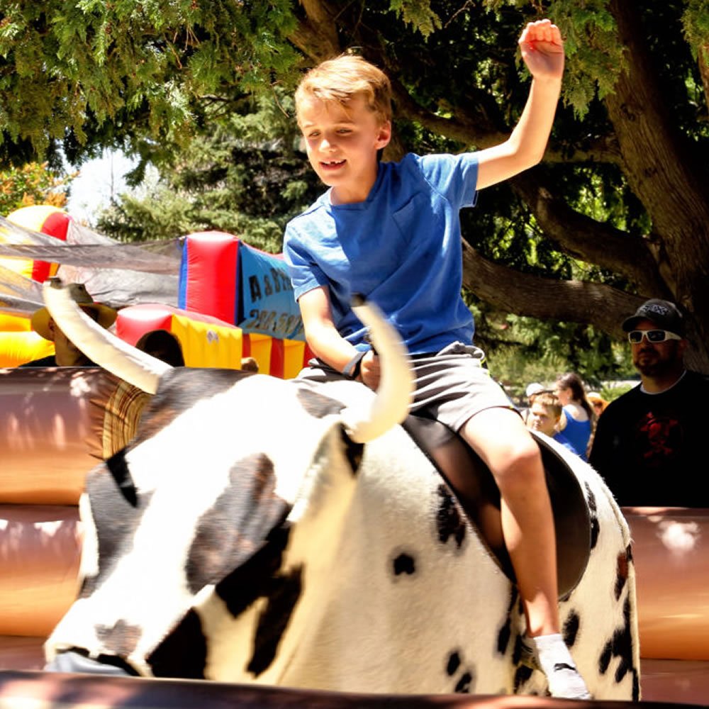 Rodeo Bull